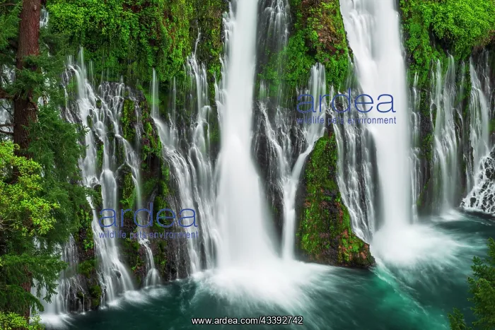 : Burney Falls, McArthur-Burney Falls Memorial State : Burney Falls, McArthur-Burney Falls Memorial State