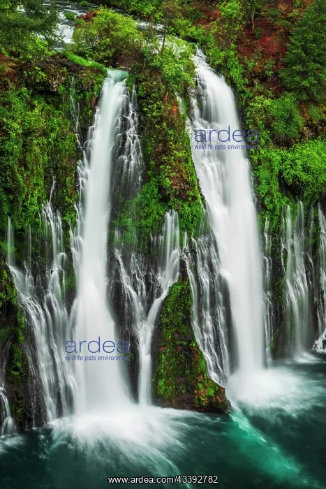 : Burney Falls, McArthur-Burney Falls Memorial State : Burney Falls, McArthur-Burney Falls Memorial State
