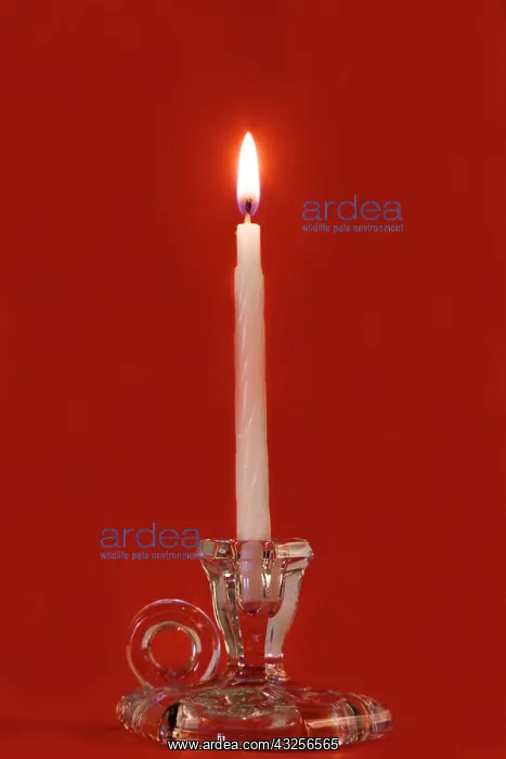 : Burning candle in a glass candle holder : Burning candle in a glass candle holder