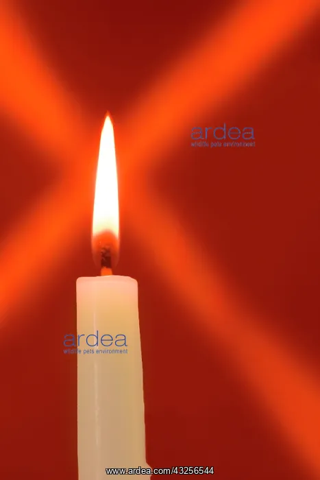 : Burning candle with star burst on red background : Burning candle with star burst on red background