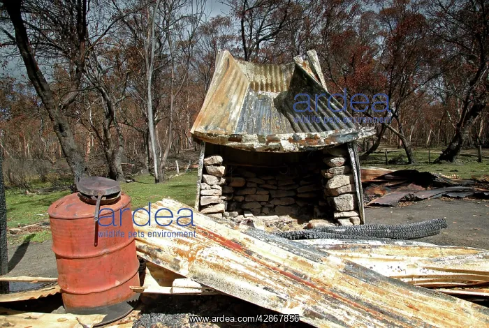 : Burnt out Buckwong Hut - Bush fire aftermath : Burnt out Buckwong Hut - Bush fire aftermath