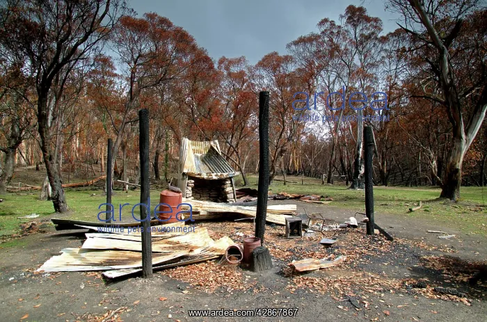 : Burnt out Buckwong Hut - bush fire aftermath : Burnt out Buckwong Hut - bush fire aftermath