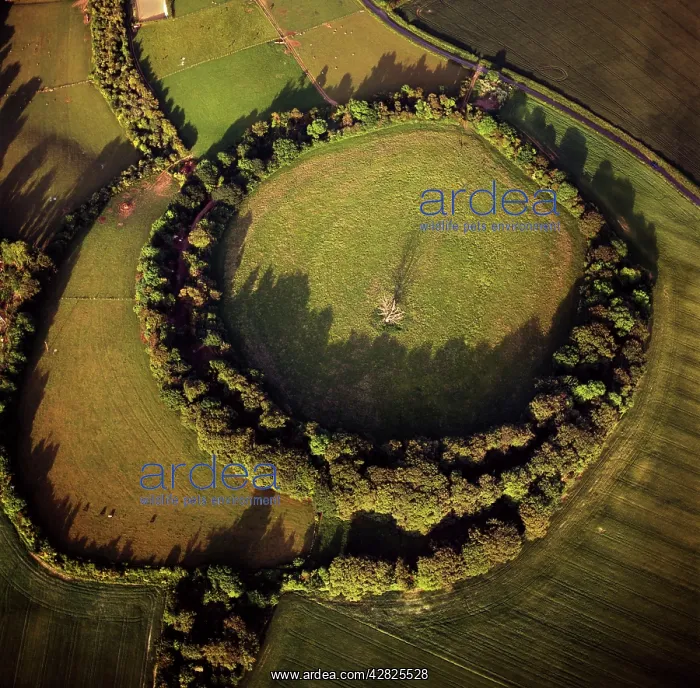 : Bury Hill Fort, hill-fort, hillfort, Wiltshire : Bury Hill Fort, hill-fort, hillfort, Wiltshire