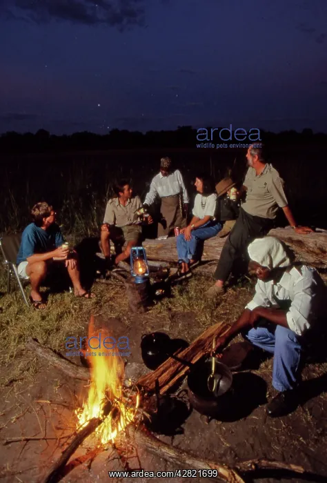 : Bush camp fire : Bush camp fire