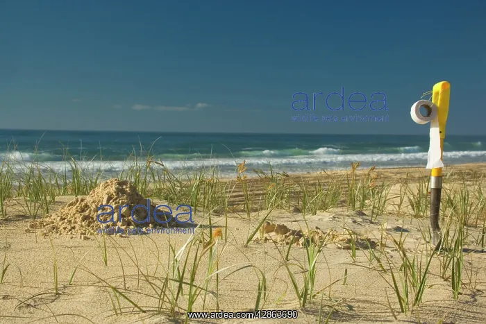 : Bush toilet at the beach : Bush toilet at the beach