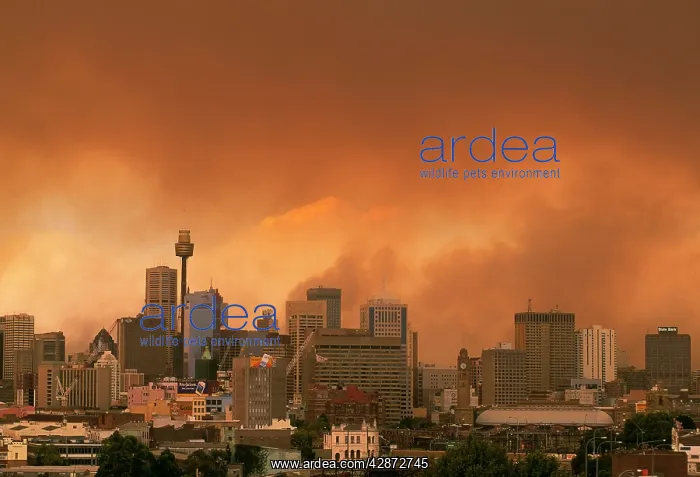 : Bushfires - Smoke from raging bushfire dwarfs the : Bushfires - Smoke from raging bushfire dwarfs the