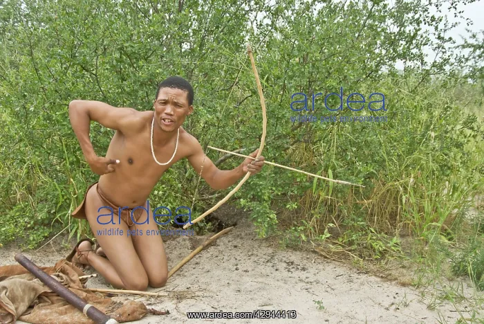 : Bushman - with bow and arrow and hunting gear : Bushman - with bow and arrow and hunting gear