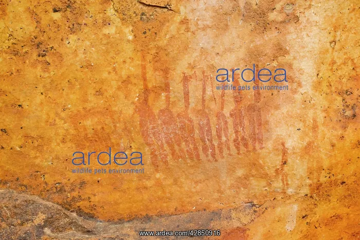 : Bushman rock art in the Cederberg Mountains, Namaqualand : Bushman rock art in the Cederberg Mountains, Namaqualand