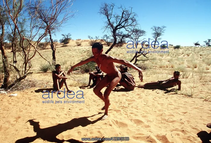 : BUSHMAN / San - Mimics ostrich : BUSHMAN / San - Mimics ostrich
