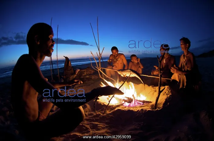 : Bushmen Cooking fish over fire : Bushmen Cooking fish over fire