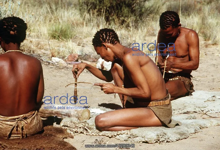 : BUSHMEN / San X3 - Making arrows : BUSHMEN / San X3 - Making arrows