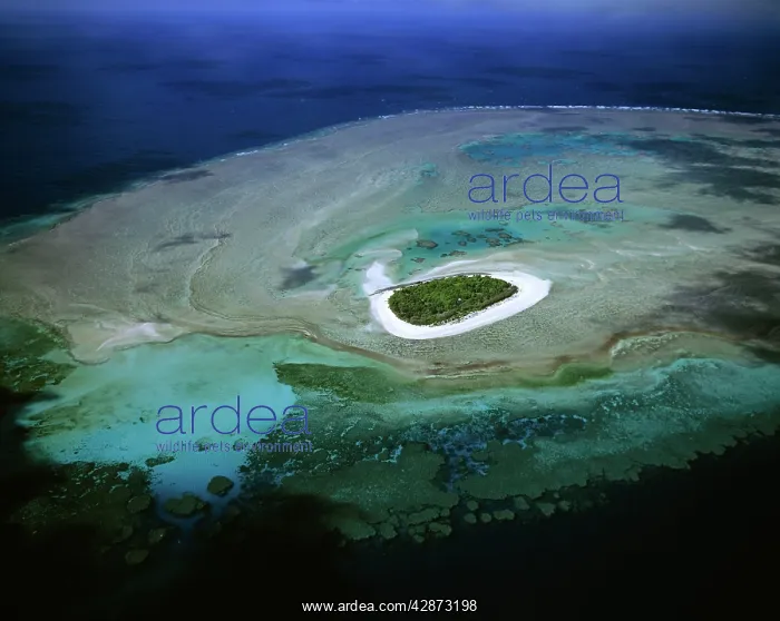 : Bushy Cay off Mackay mature vegetated cay : Bushy Cay off Mackay mature vegetated cay