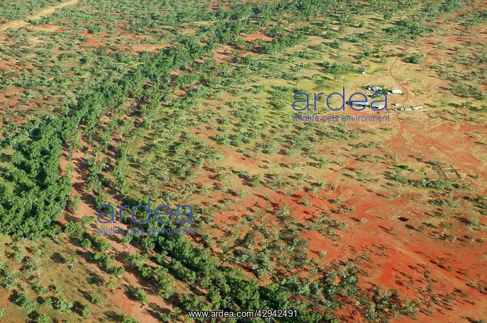 : Bushy Park Cattle Station.aerial. 60km south of : Bushy Park Cattle Station.aerial. 60km south of