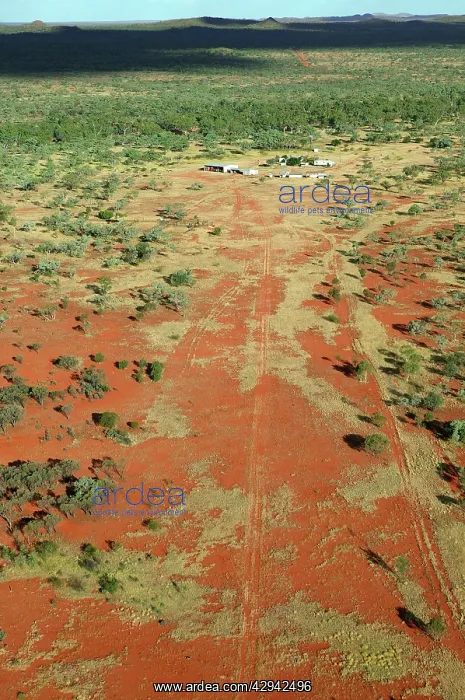 : Bushy Park Cattle Station.aerial. 60km south of : Bushy Park Cattle Station.aerial. 60km south of