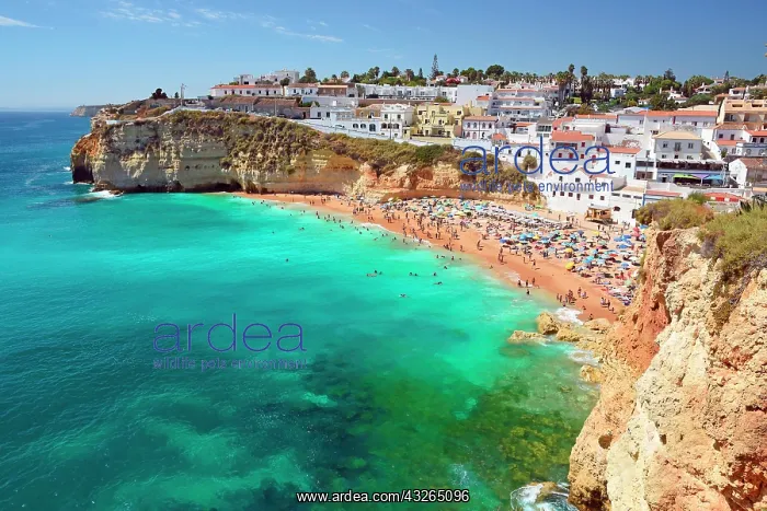 : Busy beach, Praia de Carvoeiro, Carvoeiro, Algarve : Busy beach, Praia de Carvoeiro, Carvoeiro, Algarve