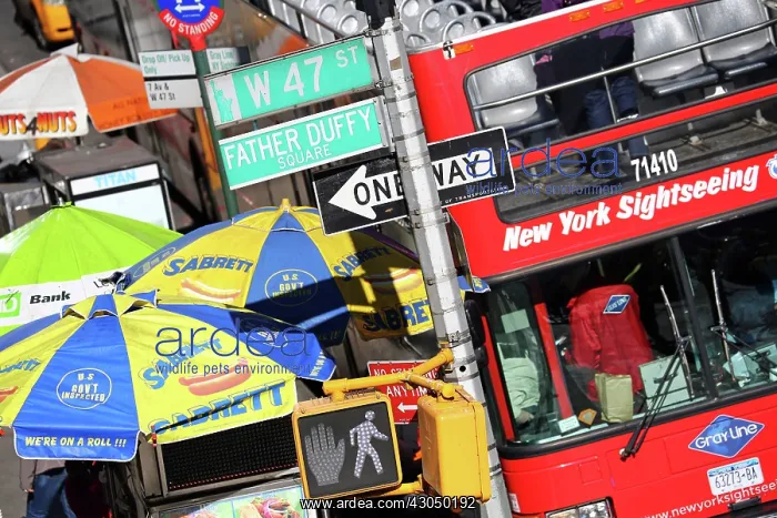: Busy street scene with red tourist sightseeing bus, stre : Busy street scene with red tourist sightseeing bus, stre