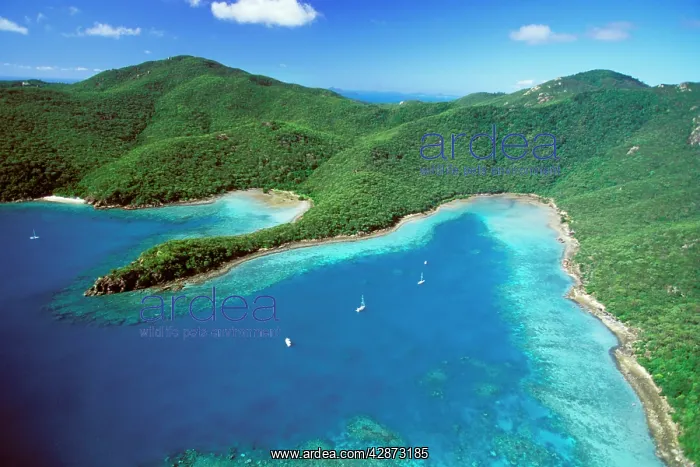 : Butterfly Bay, Hook Island Whitsunday Group : Butterfly Bay, Hook Island Whitsunday Group