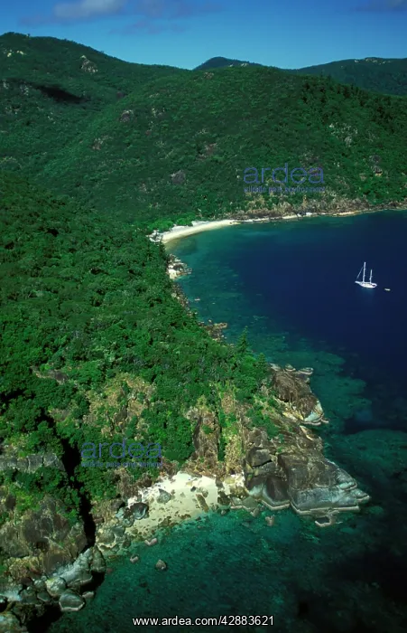  : Butterfly Bay, Hook Island Whitsunday Group