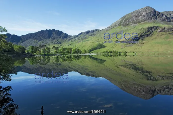 : Buttermere - Fells reflected in lake : Buttermere - Fells reflected in lake