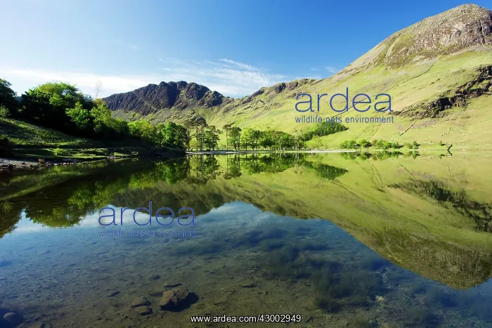 : Buttermere - Fells reflected in lake : Buttermere - Fells reflected in lake