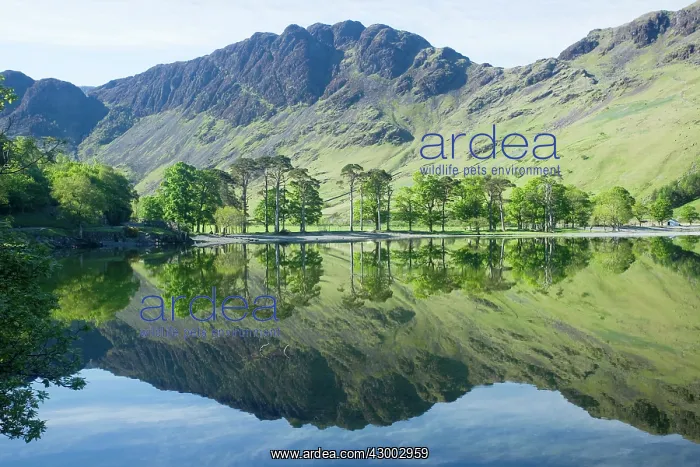 : Buttermere - Fells reflected in lake : Buttermere - Fells reflected in lake