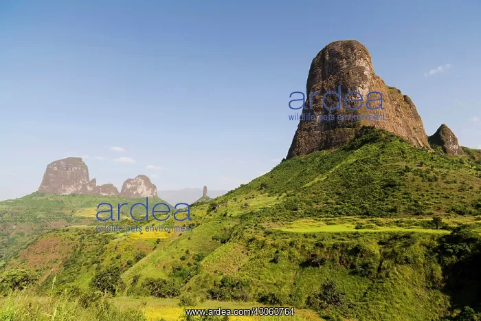 : The buttes of Mulit near Semien Mountains : The buttes of Mulit near Semien Mountains