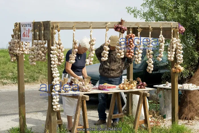: Buying garlic and onions roadside stall : Buying garlic and onions roadside stall