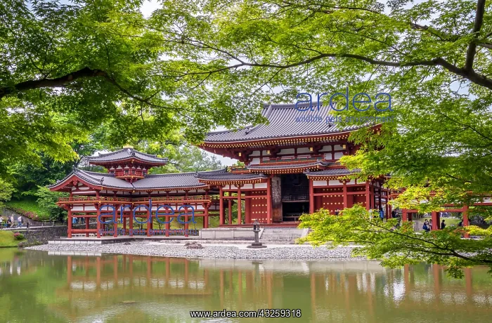 : Byodin temple in south of Ky&, x134bec; Japan : Byodin temple in south of Ky&, x134bec; Japan