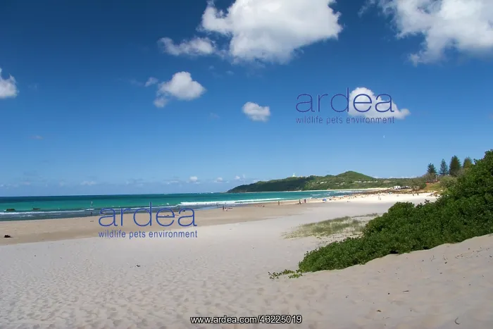 : Byron Bay, Australia. Byron Bay's beautiful : Byron Bay, Australia. Byron Bay's beautiful