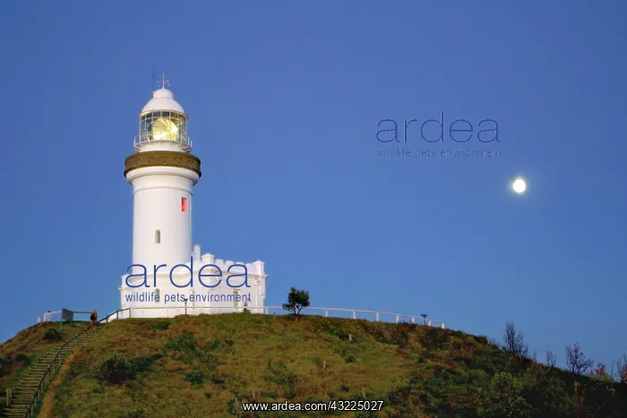 : Byron Bay, Australia. Byron Bay's famous : Byron Bay, Australia. Byron Bay's famous