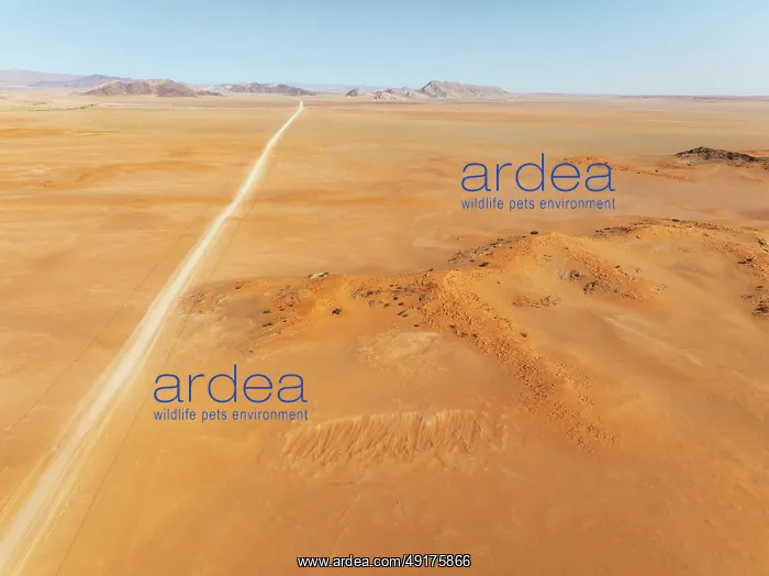 : The C14 gravel road at the edge of the Namib Desert : The C14 gravel road at the edge of the Namib Desert