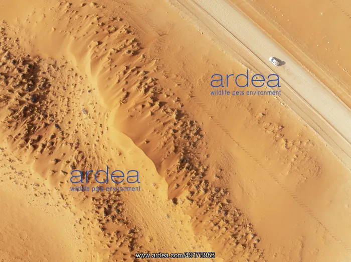 : The C14 gravel road at the edge of the Namib Desert : The C14 gravel road at the edge of the Namib Desert