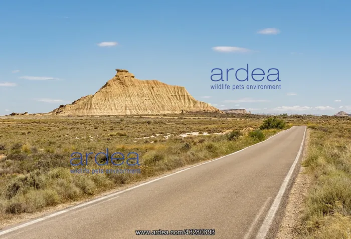 : Cabezo de las Cortinillas, Bardenas Reales Desert : Cabezo de las Cortinillas, Bardenas Reales Desert