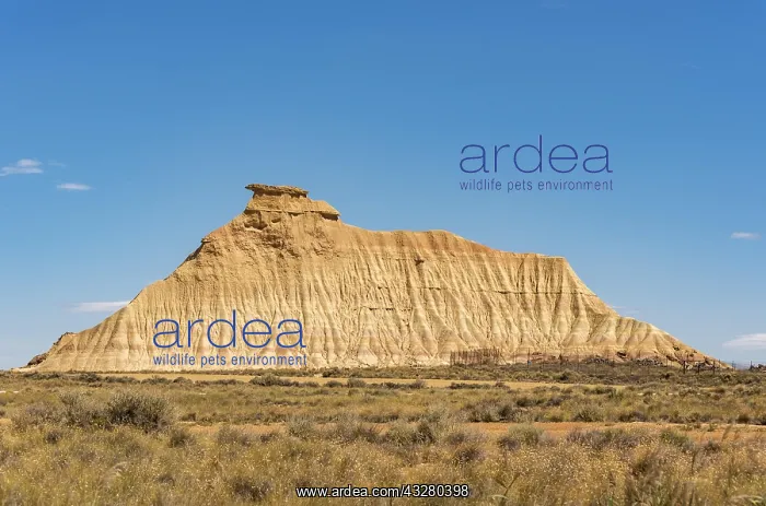  : Cabezo de las Cortinillas, Bardenas Reales Desert