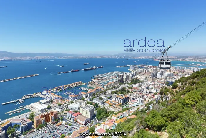 : Cable car copyspace text free space landscape travel : Cable car copyspace text free space landscape travel