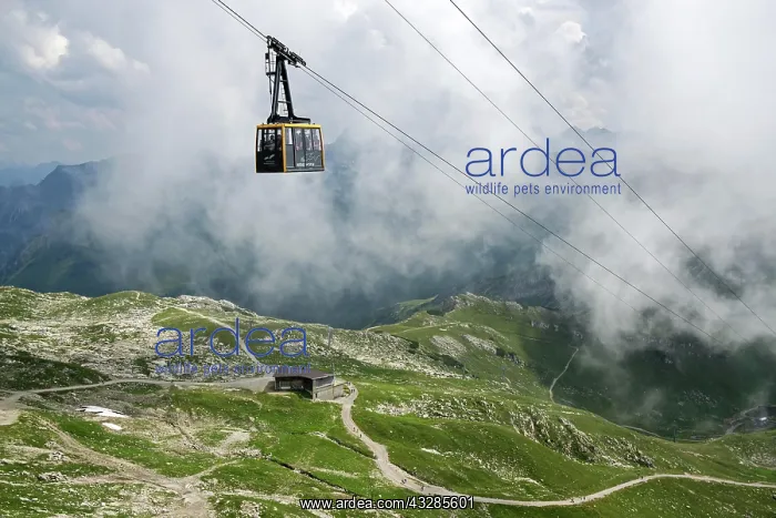 : Cable car, gondola of the Nebelhorn Cable Car to : Cable car, gondola of the Nebelhorn Cable Car to