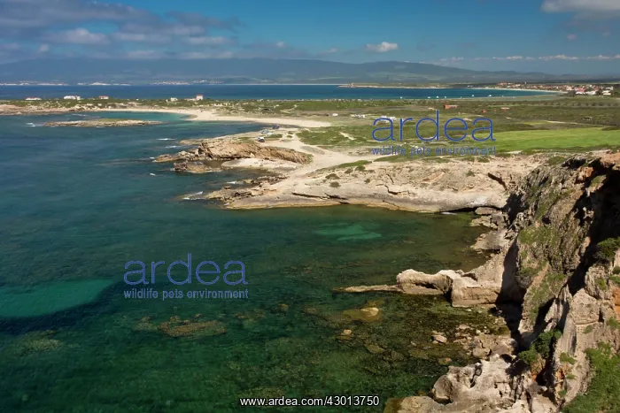 : Cabo Mannu coastal headland on the Sinis Peninsula : Cabo Mannu coastal headland on the Sinis Peninsula