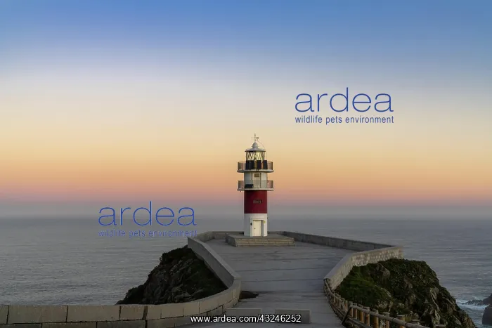 : the Cabo Ortegal lighthouse on the coast of Galicia : the Cabo Ortegal lighthouse on the coast of Galicia