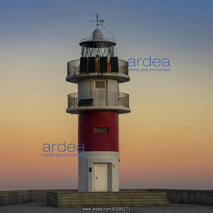 : the Cabo Ortegal lighthouse on the coast of Galicia : the Cabo Ortegal lighthouse on the coast of Galicia