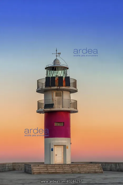: the Cabo Ortegal lighthouse on the coast of Galicia : the Cabo Ortegal lighthouse on the coast of Galicia