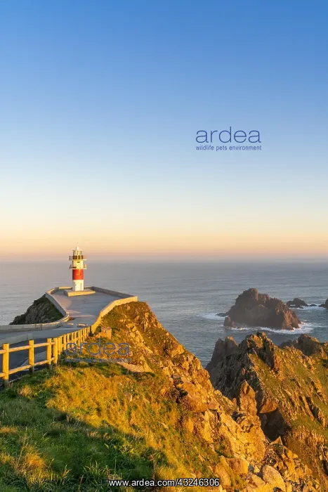 : the Cabo Ortegal lighthouse on the coast of Galicia : the Cabo Ortegal lighthouse on the coast of Galicia