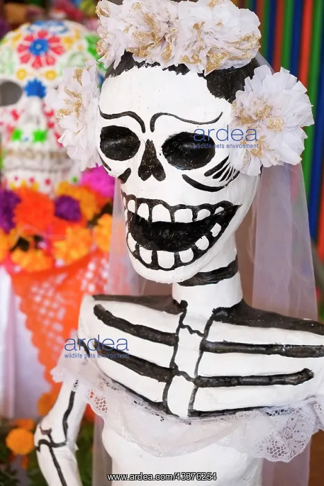 : Cabo San Lucas, Mexico. Dia de los Muertos skeletons : Cabo San Lucas, Mexico. Dia de los Muertos skeletons