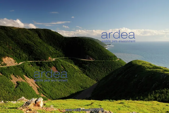 : Cabot Trail and the Atlantic Ocean, Cape Breton : Cabot Trail and the Atlantic Ocean, Cape Breton