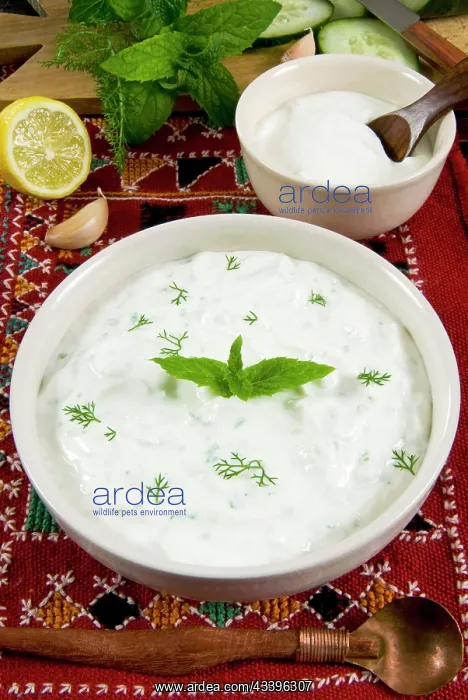 : Cacik, sauce with yogurt, mint, cucumber, lemon : Cacik, sauce with yogurt, mint, cucumber, lemon