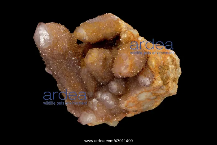  : Cactus Quartz