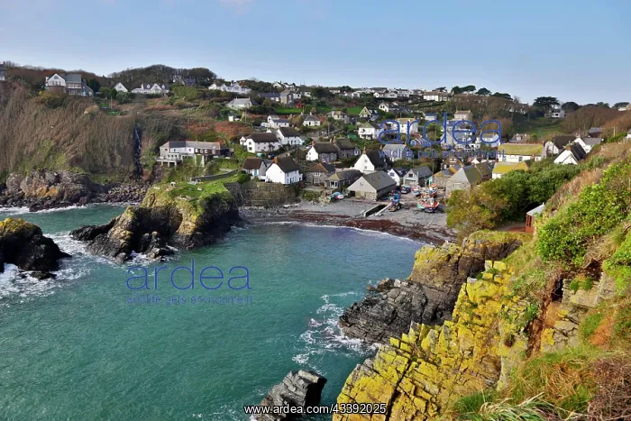  : Cadgwith. Lizard - Cornwall - UK