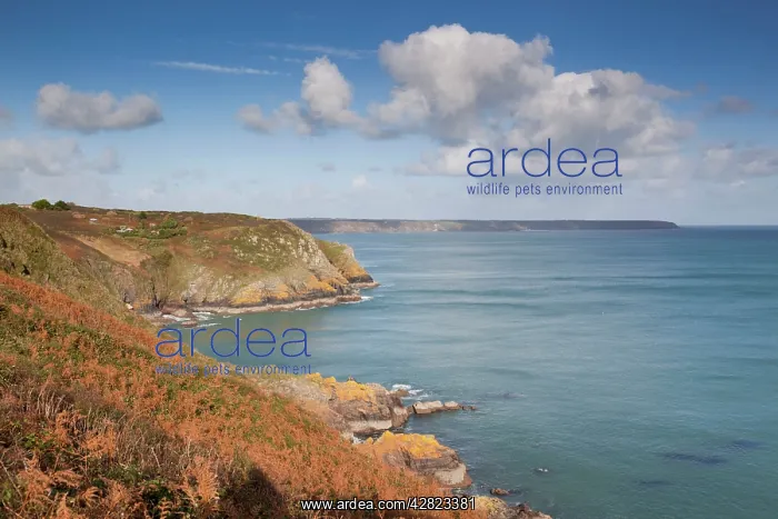 : Cadgwith to Church Cove - Lizard : Cadgwith to Church Cove - Lizard