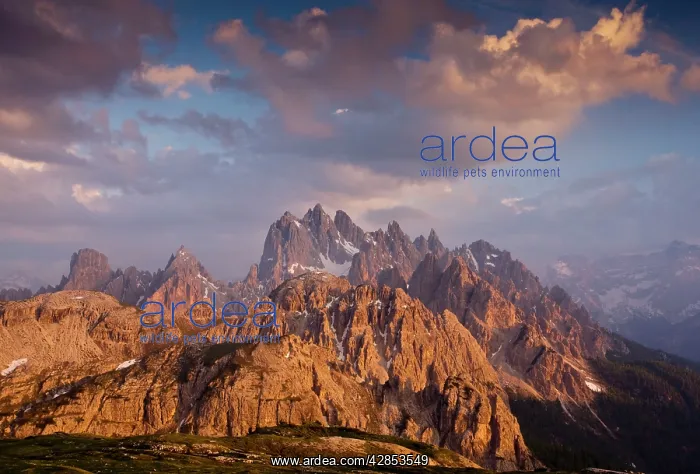 : The Cadini di Misurina massif, from the Tre Cime : The Cadini di Misurina massif, from the Tre Cime