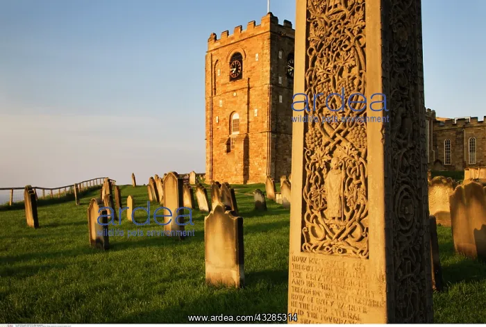 : Caedmons Cross and St Marys Church : Caedmons Cross and St Marys Church