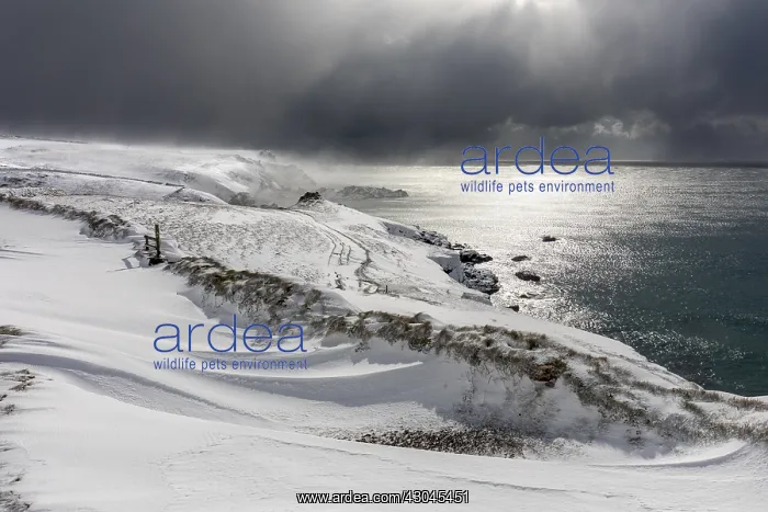 : Caerthillian Cove - Snow - Cornwall - UK : Caerthillian Cove - Snow - Cornwall - UK